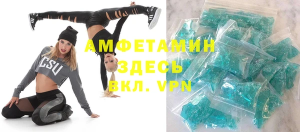 дурь Няндома