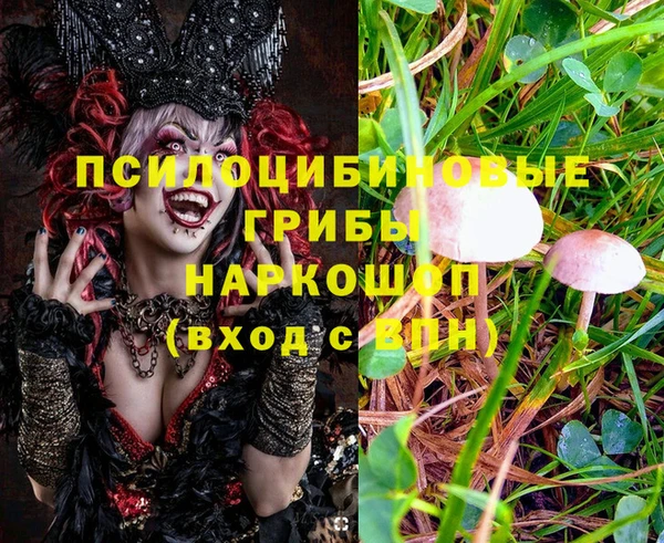 2c-b Белоозёрский