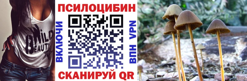 ссылка на мегу ссылки  Первомайск  Псилоцибиновые грибы MAGIC MUSHROOMS 